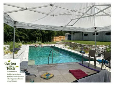 Naturpools & Schwimmteiche Bild 20