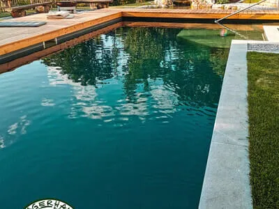Naturpools & Schwimmteiche Bild 31